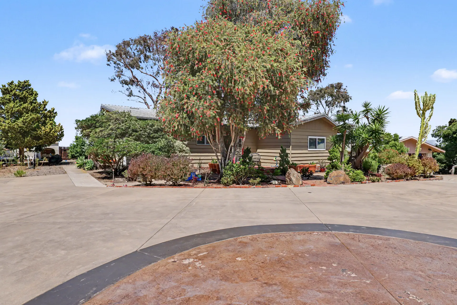 The motor court framed by eucalyptus and mature succulents.