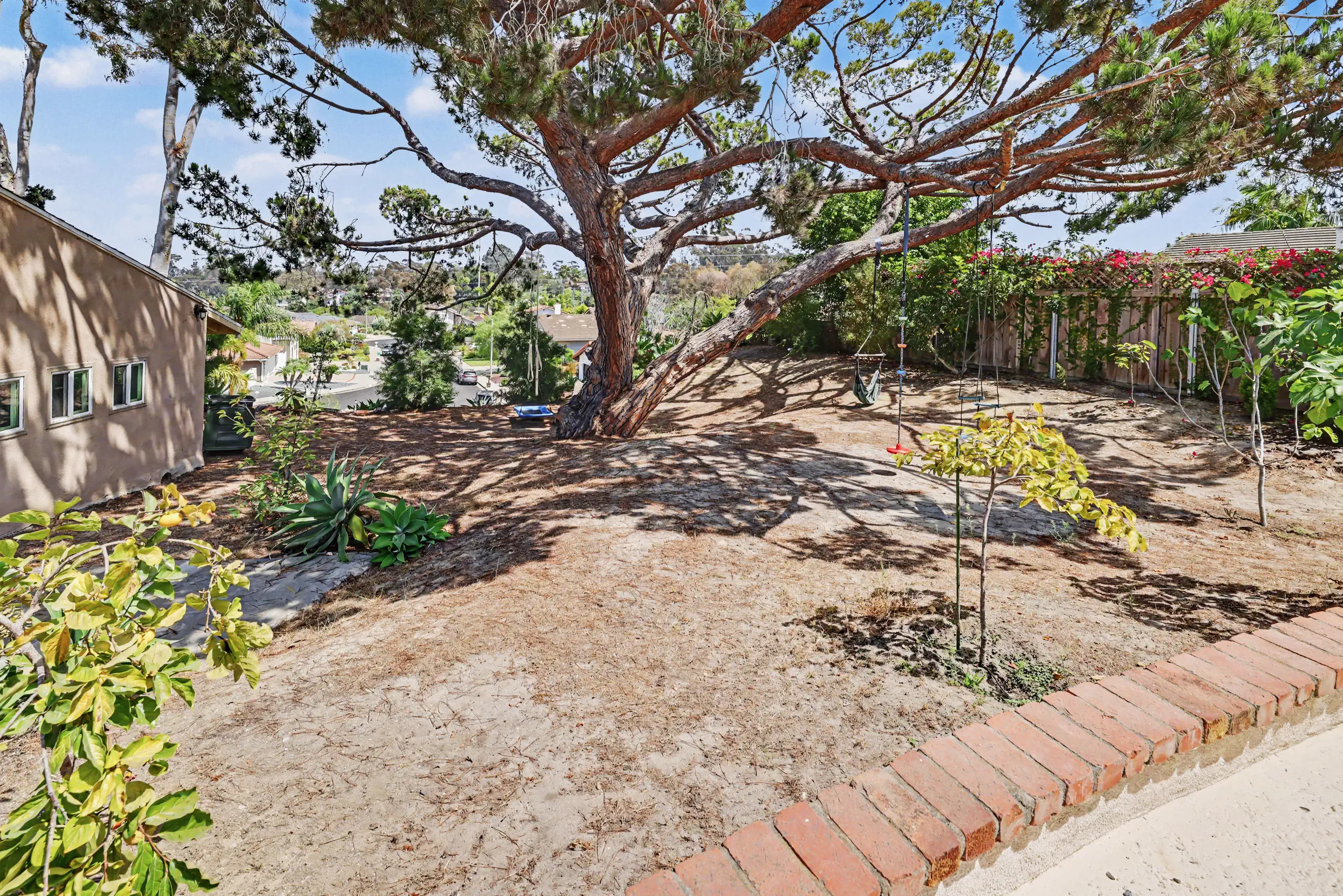 A mature pine spreading low and wide over the side ground of the parcel.